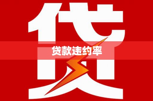 镇远贷款违约率