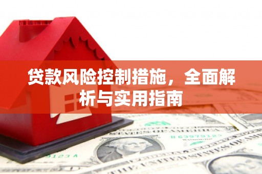 镇远贷款风险控制措施，全面解析与实用指南