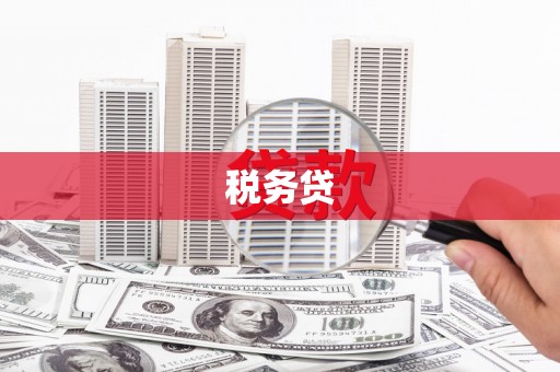 镇远税务贷