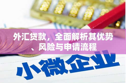 镇远外汇贷款，全面解析其优势、风险与申请流程