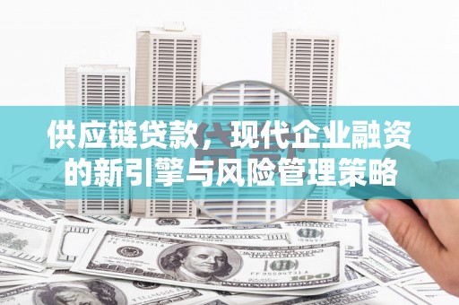 镇远供应链贷款，现代企业融资的新引擎与风险管理策略