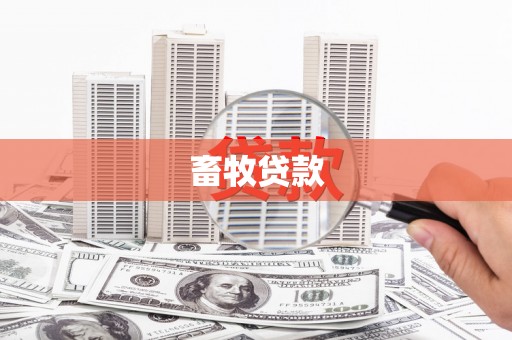 镇远畜牧贷款