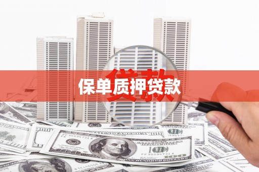 镇远保单质押贷款