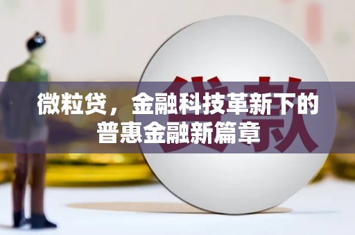 镇远微粒贷，金融科技革新下的普惠金融新篇章