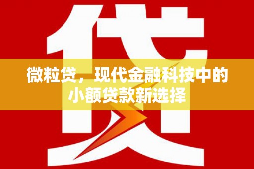 镇远微粒贷，现代金融科技中的小额贷款新选择