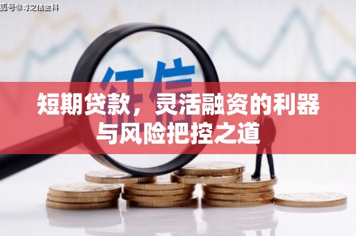 镇远短期贷款，灵活融资的利器与风险把控之道