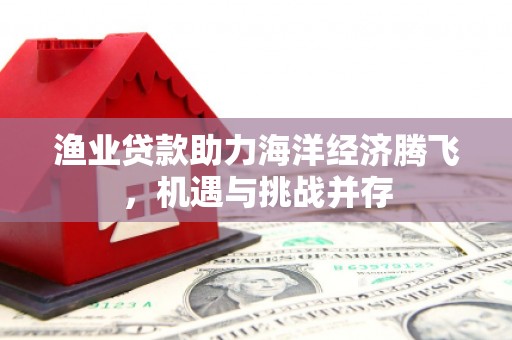 镇远渔业贷款助力海洋经济腾飞，机遇与挑战并存
