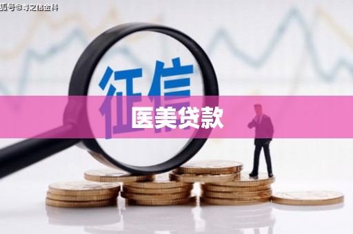 镇远医美贷款