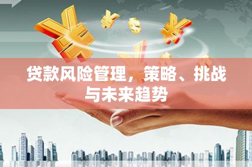 镇远贷款风险管理，策略、挑战与未来趋势