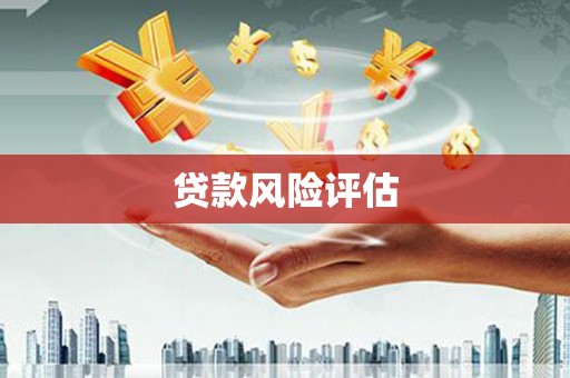 镇远贷款风险评估