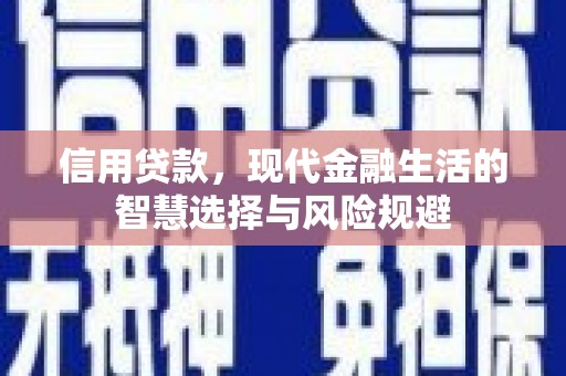 镇远信用贷款，现代金融生活的智慧选择与风险规避