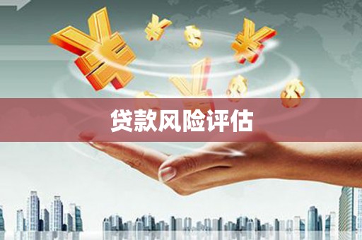 镇远贷款风险评估