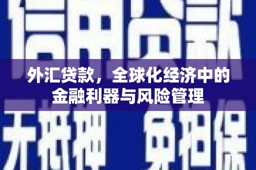 镇远外汇贷款，全球化经济中的金融利器与风险管理