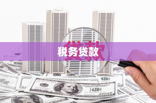 镇远税务贷款