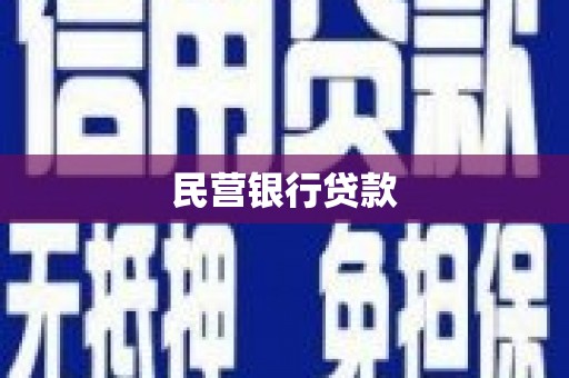 镇远民营银行贷款