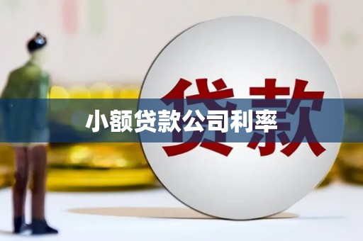 镇远小额贷款公司利率