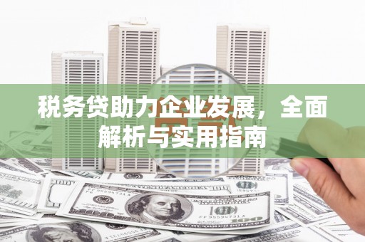 镇远税务贷助力企业发展，全面解析与实用指南