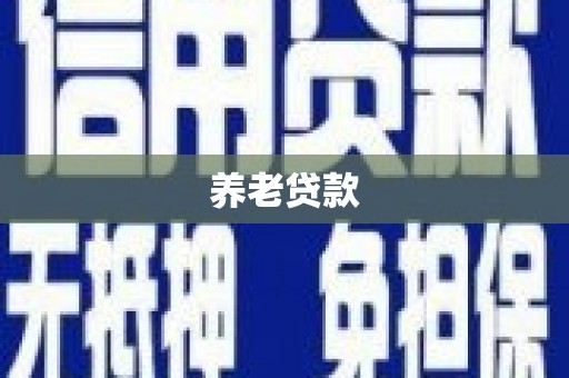 镇远养老贷款