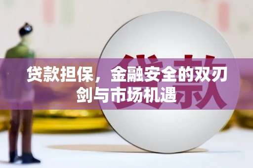 镇远贷款担保，金融安全的双刃剑与市场机遇