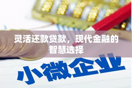 镇远灵活还款贷款，现代金融的智慧选择
