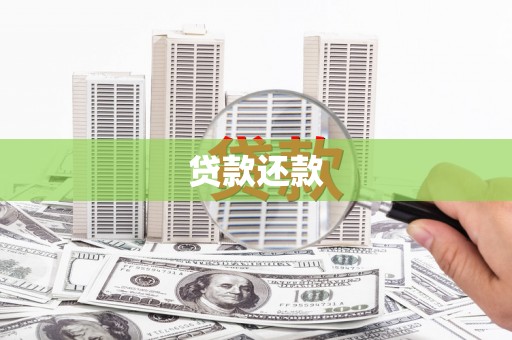 镇远贷款还款