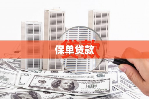 镇远保单贷款
