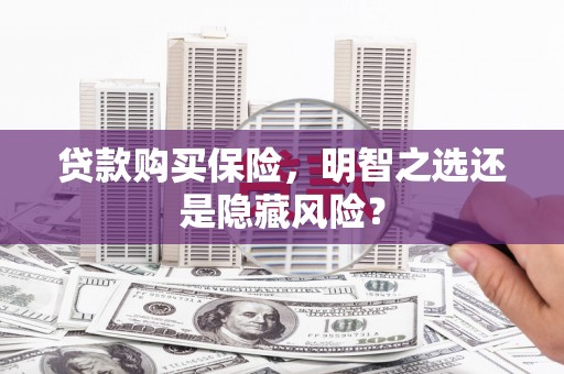 镇远贷款购买保险，明智之选还是隐藏风险？