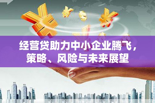 镇远经营贷助力中小企业腾飞，策略、风险与未来展望