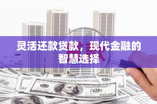 镇远灵活还款贷款，现代金融的智慧选择