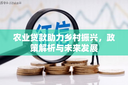 镇远农业贷款助力乡村振兴，政策解析与未来发展