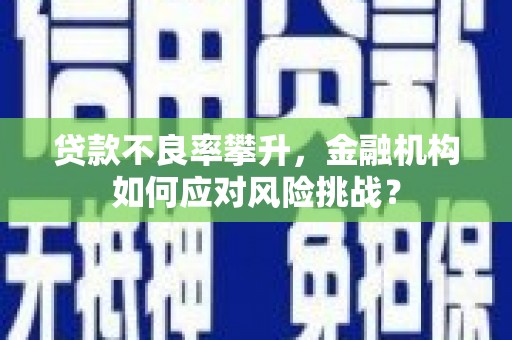 镇远贷款不良率攀升，金融机构如何应对风险挑战？