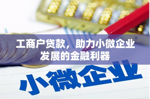 镇远工商户贷款，助力小微企业发展的金融利器