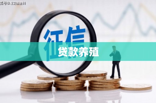 镇远贷款养殖