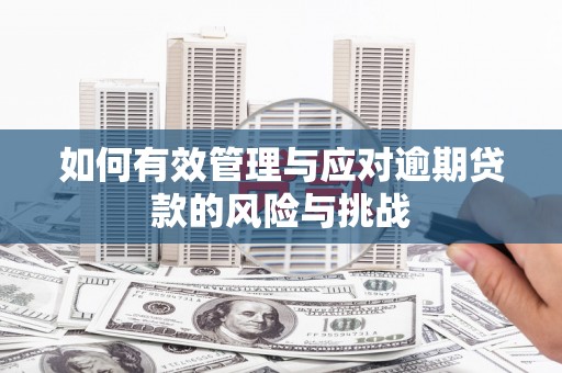 镇远如何有效管理与应对逾期贷款的风险与挑战