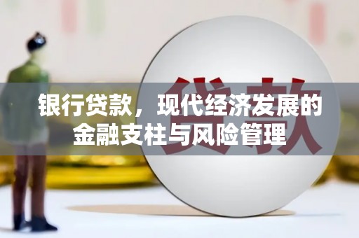 镇远银行贷款，现代经济发展的金融支柱与风险管理