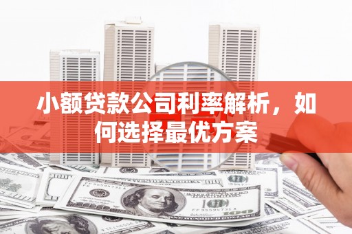 镇远小额贷款公司利率解析，如何选择最优方案
