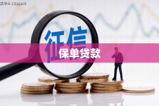 镇远保单贷款