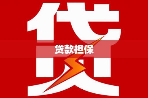 镇远贷款担保