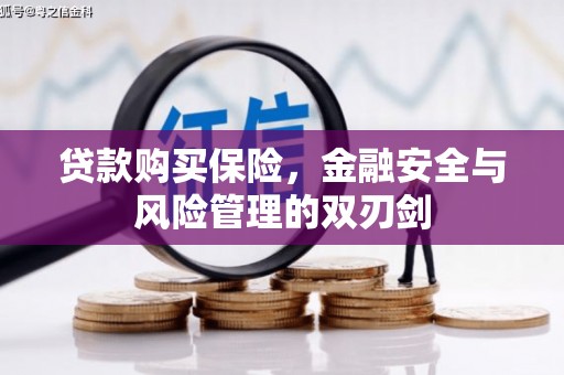 镇远贷款购买保险，金融安全与风险管理的双刃剑