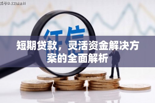 镇远短期贷款，灵活资金解决方案的全面解析
