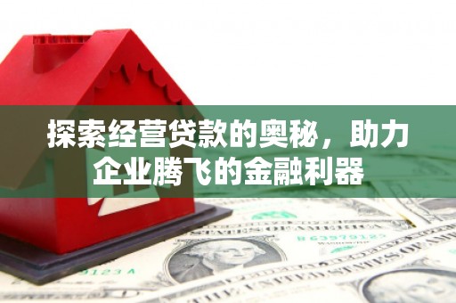 镇远探索经营贷款的奥秘，助力企业腾飞的金融利器