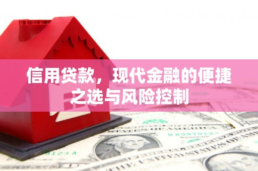 镇远信用贷款，现代金融的便捷之选与风险控制