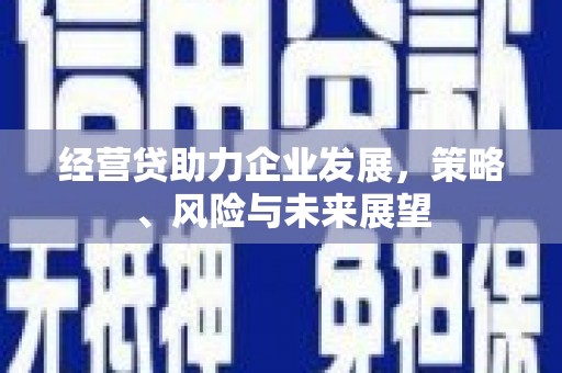 镇远经营贷助力企业发展，策略、风险与未来展望