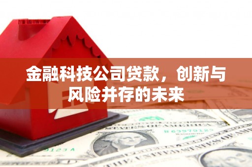 镇远金融科技公司贷款，创新与风险并存的未来