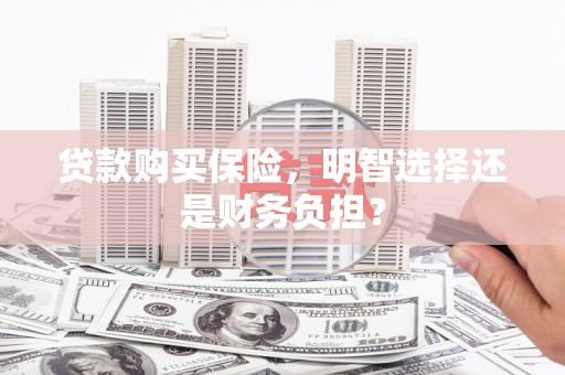 镇远贷款购买保险，明智选择还是财务负担？