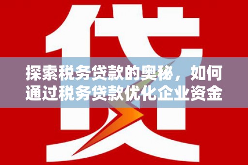镇远探索税务贷款的奥秘，如何通过税务贷款优化企业资金流