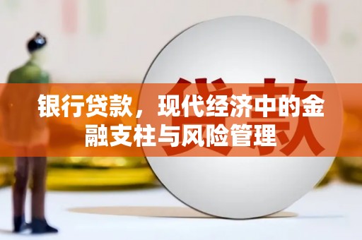 镇远银行贷款，现代经济中的金融支柱与风险管理