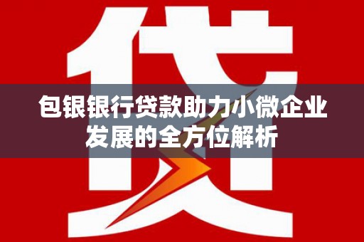 镇远包银银行贷款助力小微企业发展的全方位解析 镇远包银银行贷款助力小微企业发展的全方位解析
