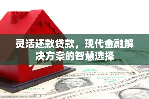镇远灵活还款贷款，现代金融解决方案的智慧选择