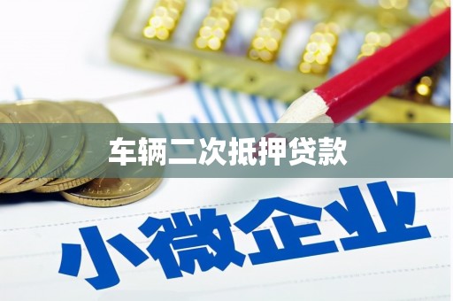 镇远车辆二次抵押贷款